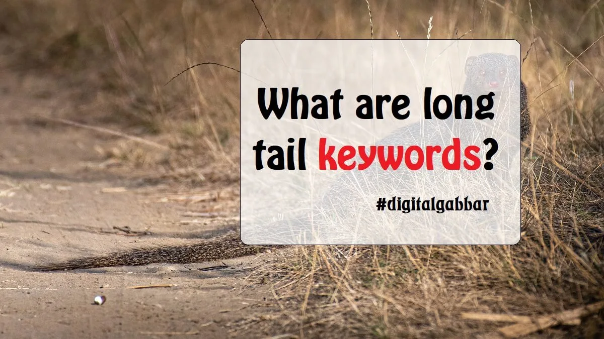 Long Tail Keywords Using Guide